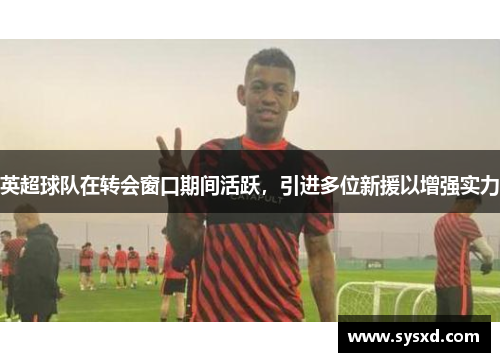 英超球队在转会窗口期间活跃，引进多位新援以增强实力
