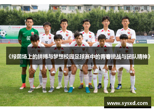 《绿茵场上的拼搏与梦想校园足球赛中的青春挑战与团队精神》