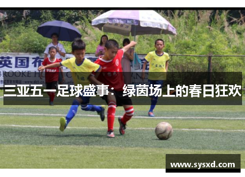 三亚五一足球盛事：绿茵场上的春日狂欢