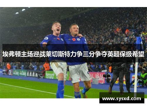 埃弗顿主场迎战莱切斯特力争三分争夺英超保级希望