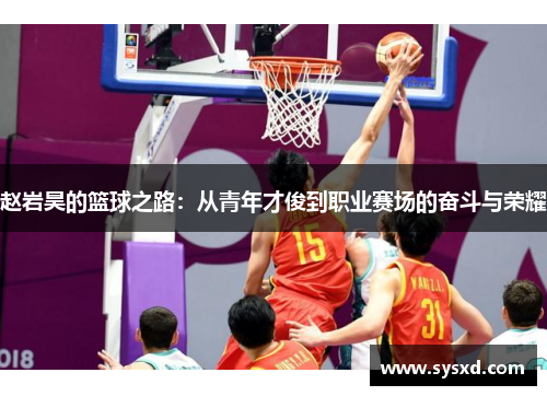 赵岩昊的篮球之路：从青年才俊到职业赛场的奋斗与荣耀